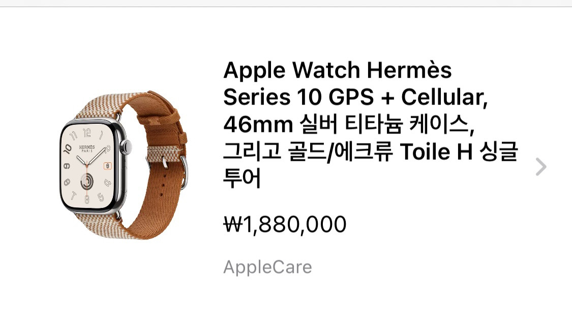 애플워치 에르메스10 실버 티타늄 46mm 팝니다.--4