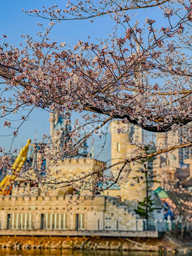 갤러리아몰 갤러리아 75% 판매합니다--0