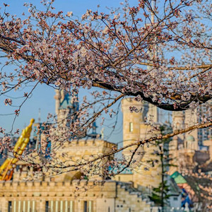 갤러리아몰 갤러리아 75% 판매합니다