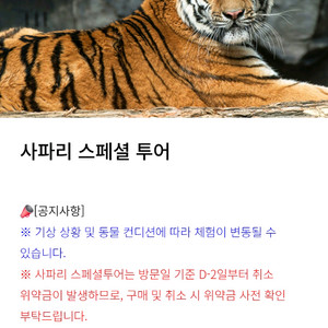 에버랜드 스페셜투어 팝니다