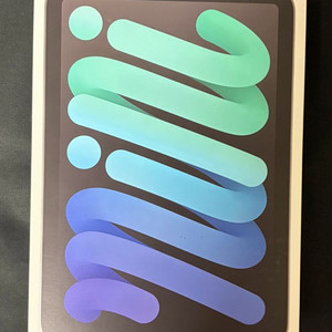 미개봉 아이패드 미니 7 256 WiFi 스페이스그레이