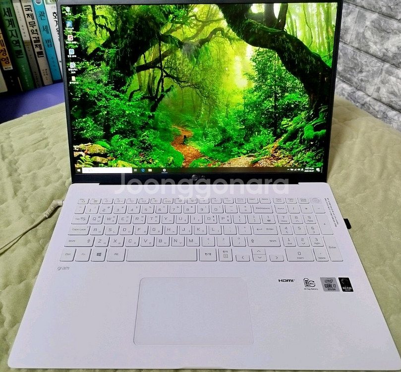 LG그램 17Z90N-VP7CL 17인치 i7--9