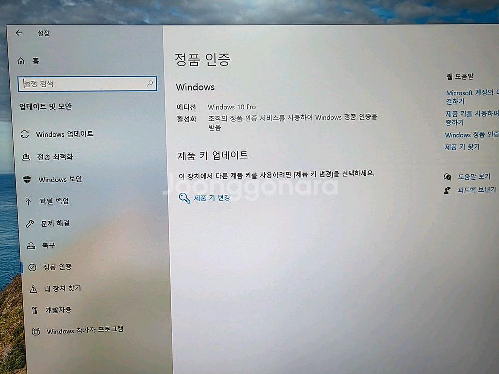 인텔 스텔라 본체/원10,24년 문서/키보드--6