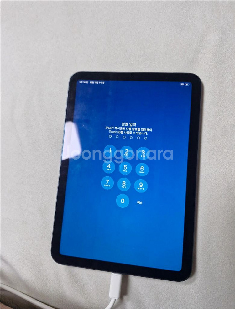 아이패드미니6 64 + 짭플펜슬 + 케이스 (ss급)--0