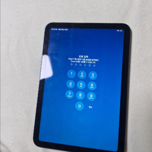 아이패드미니6 64 + 짭플펜슬 + 케이스 (ss급)