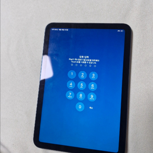 아이패드미니6 64 + 짭플펜슬 + 케이스 (ss급)