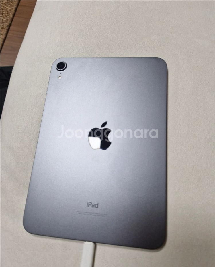 아이패드미니6 64 + 짭플펜슬 + 케이스 (ss급)--1