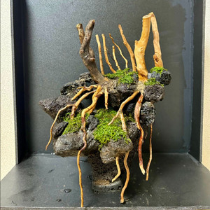 나나성형유목 어항 레이아웃 구조물(택배가능)