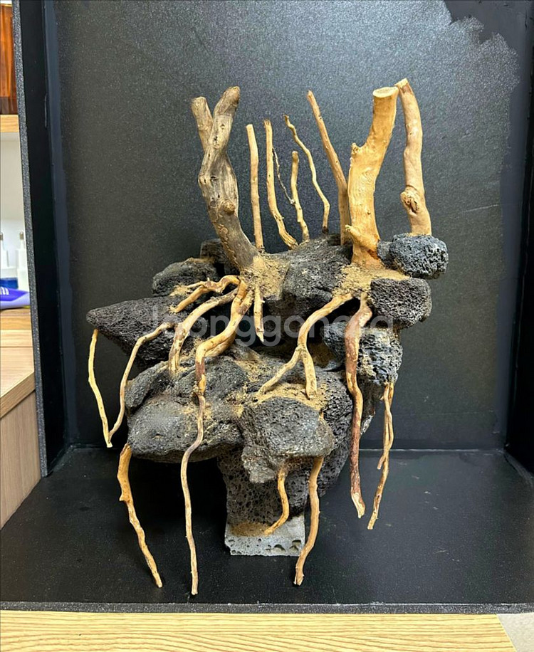 나나성형유목 어항 레이아웃 구조물(택배가능)--1