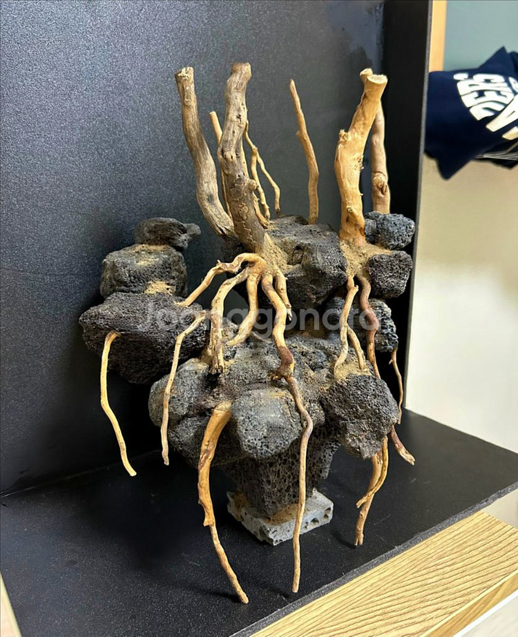 나나성형유목 어항 레이아웃 구조물(택배가능)--2