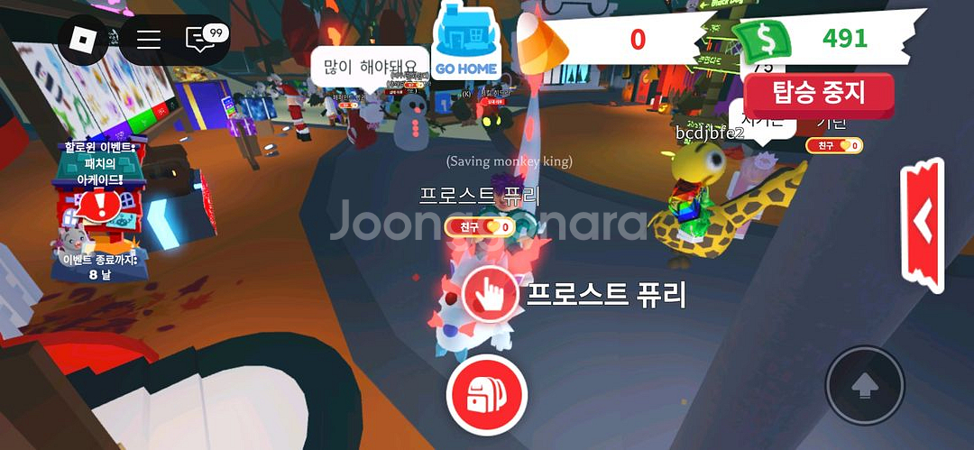 입양하세요 메가퓨리 팝니다.--1