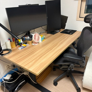 GAZE DESK 전동 모션 데스크 (원목, 2.7t)