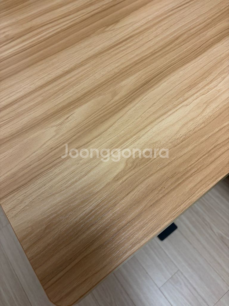 GAZE DESK 전동 모션 데스크 (원목, 2.7t)--3