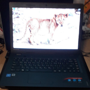 12레노버 100S-14 적색 메뚜기 Win11