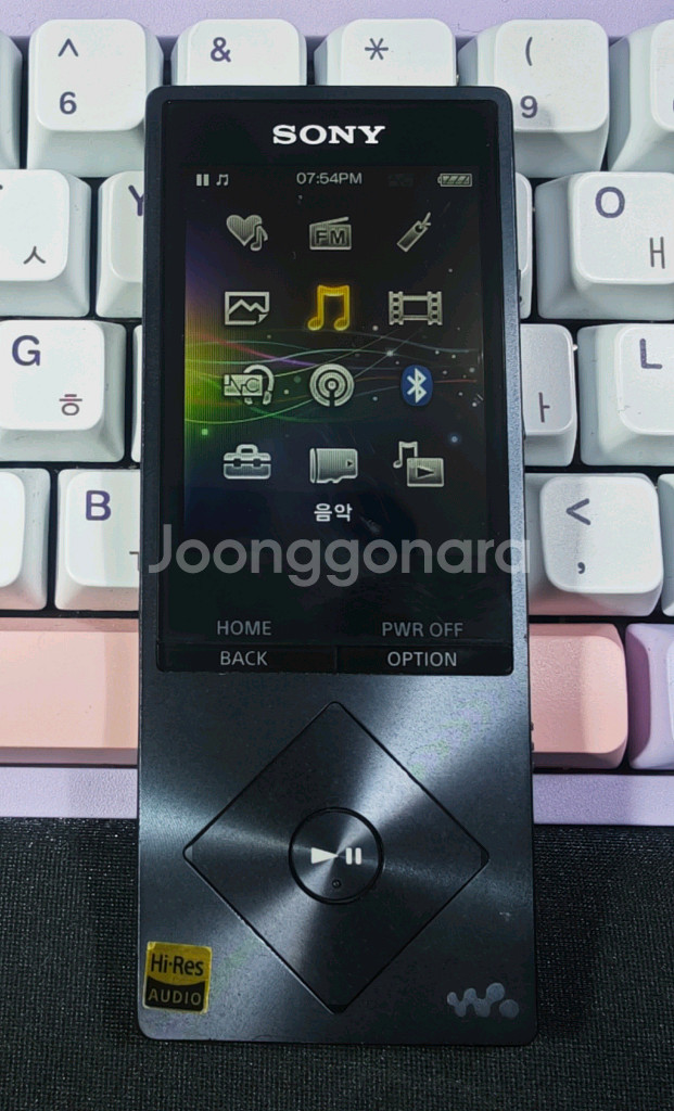 소니 워크맨 MP3 NW-A25 16기가--0