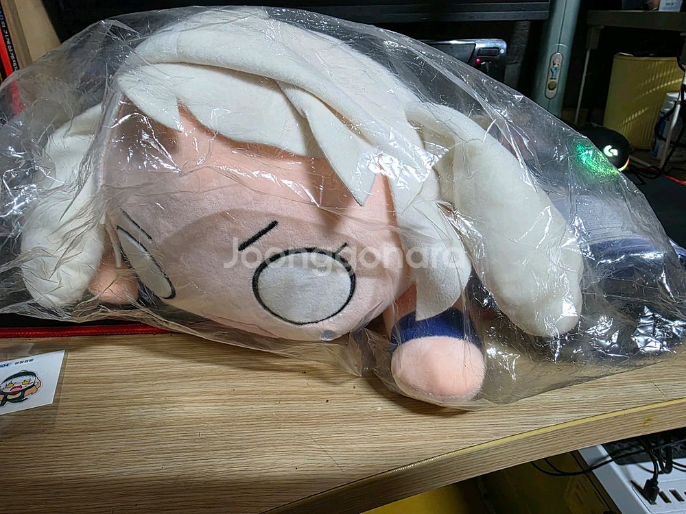 라디유 인형 장패드--0