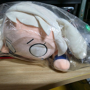 라디유 인형 장패드