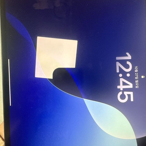 아이패드 프로 M4 13 256 셀룰러 26년 7월