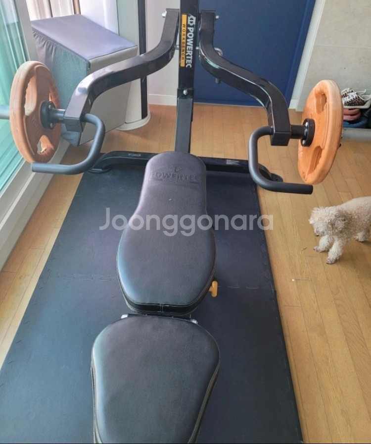 파워텍 워크벤치 헬스 기구 및 원판--0