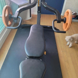 파워텍 워크벤치 헬스 기구 및 원판