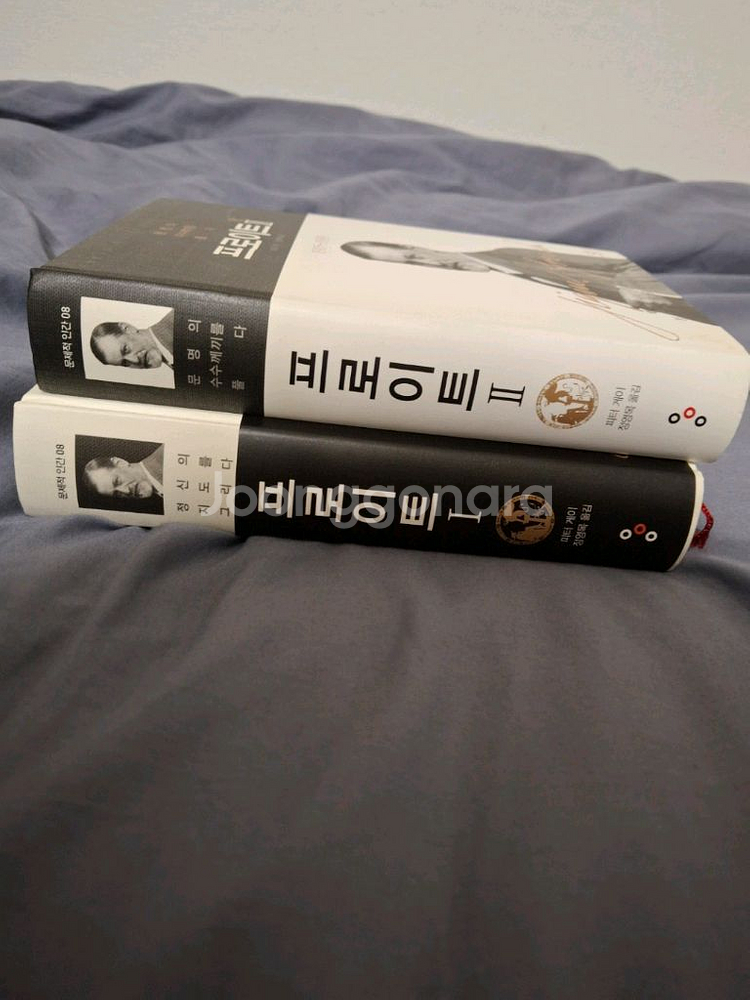 피터 게이, 프로이트 평전. 교양인 출판사--0