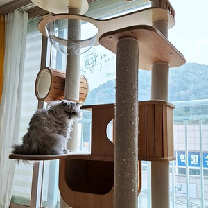 가르르 고양이 원목 캣타워 캣폴
