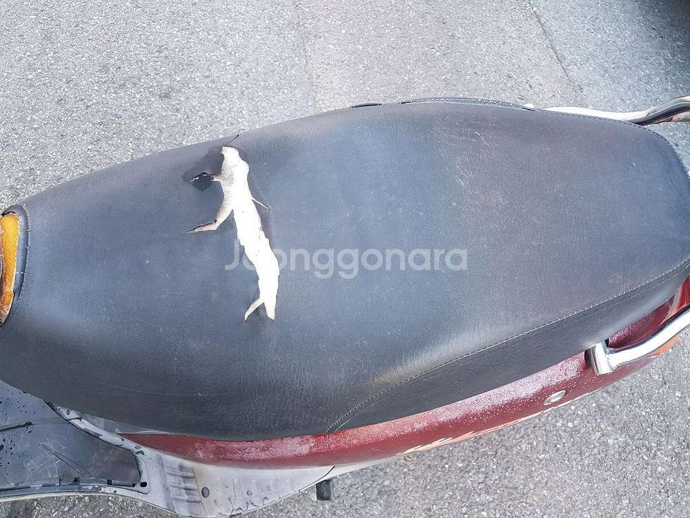 뽈뽈이 파라요--5