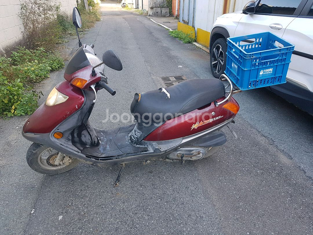 뽈뽈이 파라요--2