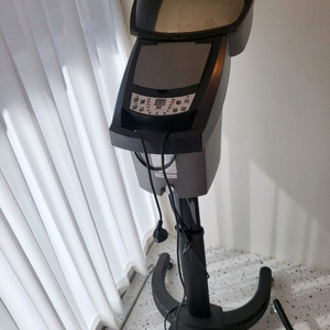 미래로 미스트기(스티머)