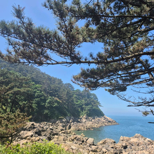 cgv콤보 5000원 할인쿠폰 1매 500원