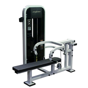 다이나포스 체스트프레스.랫풀다운.레그컬