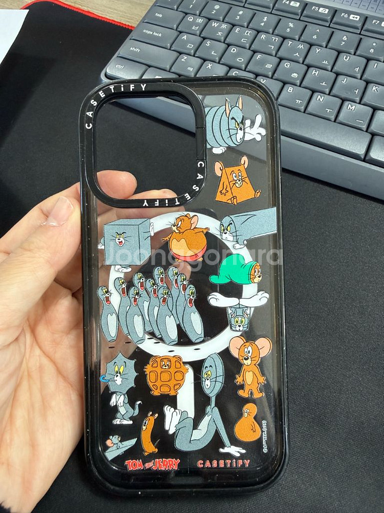 티파이케이스 아이폰 16프로--0