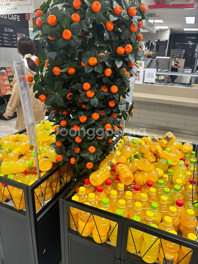 대형귤나무 조화 모형 귤나무 / 매대 행사 매장용--0