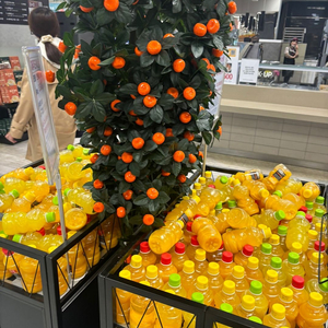 대형귤나무 조화 모형 귤나무 / 매대 행사 매장용