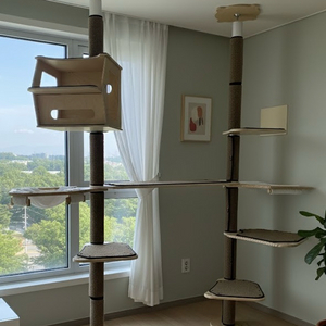 그린웨일 캣폴 판매합니다.