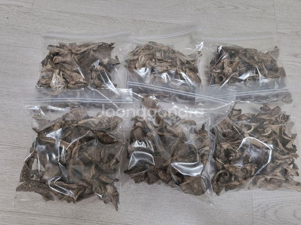 국내산 건조 능이버섯 팔아요--2