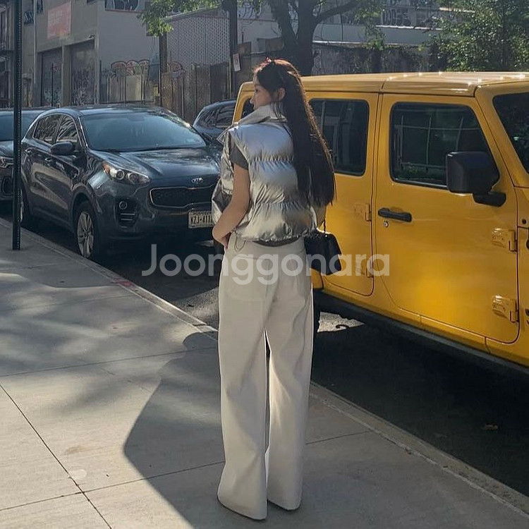 [새상품]브론 구스 패딩 실버--5