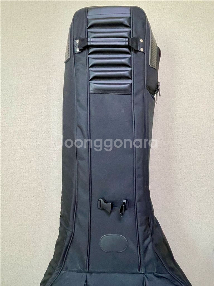 더블베이스(콘트라베이스) 케이스 팝니다.--4