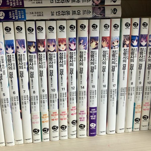 정령사의 검무 1~19 초판 (총24권)