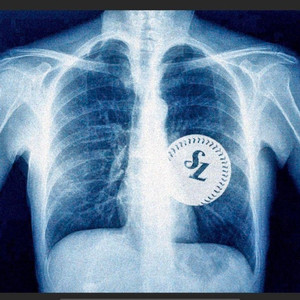 삼성라이온즈 윤성환선수 110이상 유니폼 삽니다.