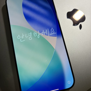 아이폰 16프로맥스 256GB 티타늄블랙(자급제)(급처