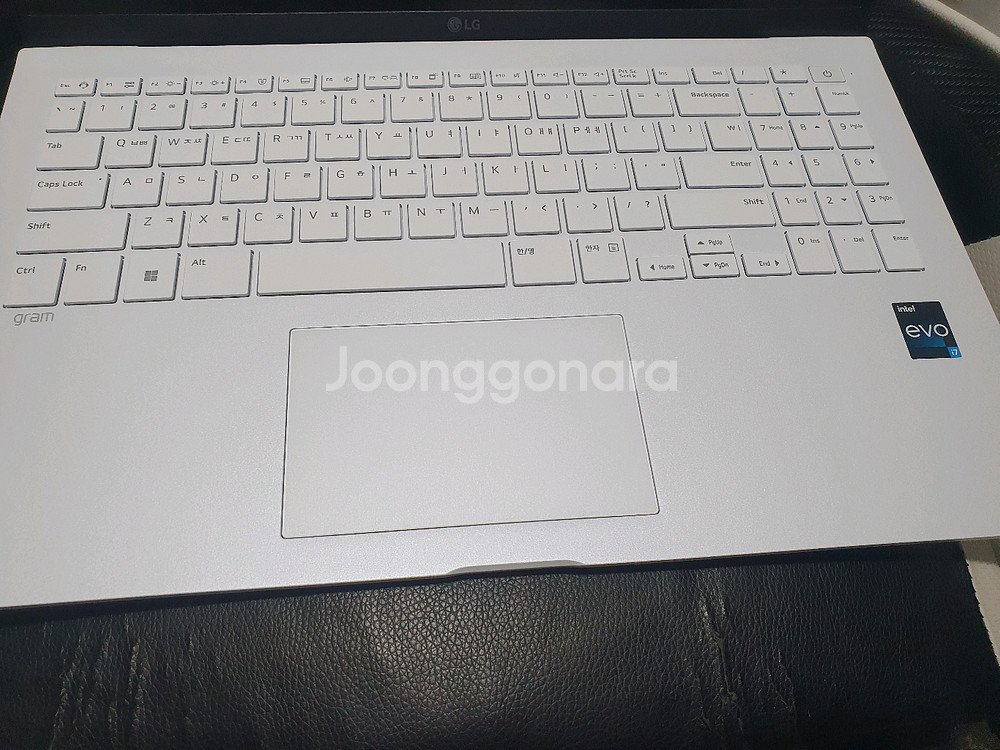 LG그램 노트북 15인치 i5 13세대 i7 램16 s--10