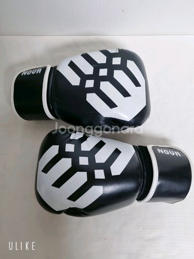 고등 / 성인 권투 글러브 (새상품)--0