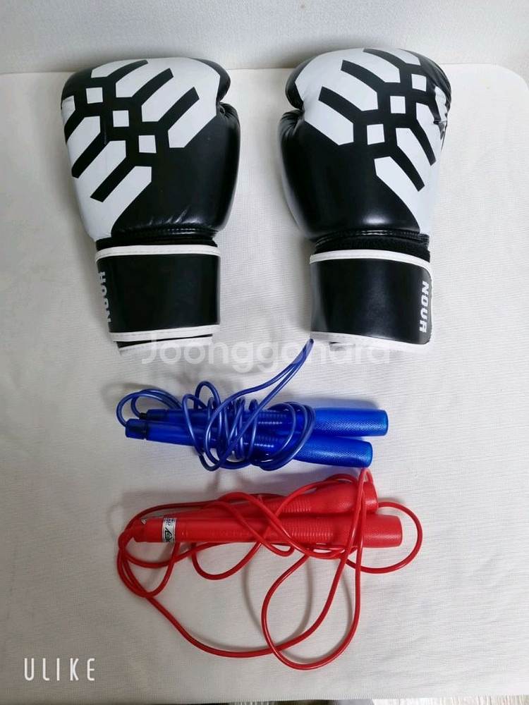 고등 / 성인 권투 글러브 (새상품)--1