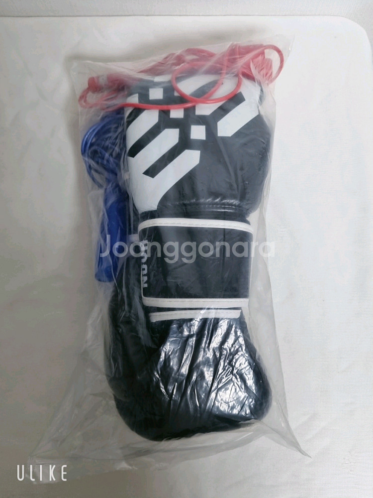 고등 / 성인 권투 글러브 (새상품)--3