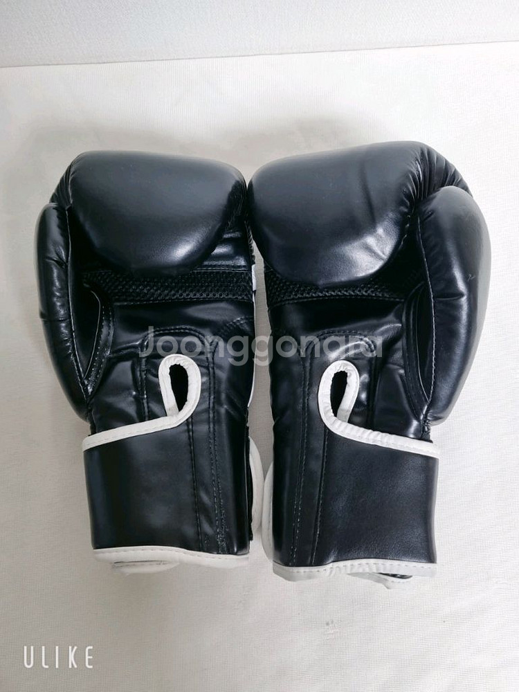 고등 / 성인 권투 글러브 (새상품)--2