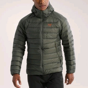 아크테릭스 세륨 후디 포리지 베르베