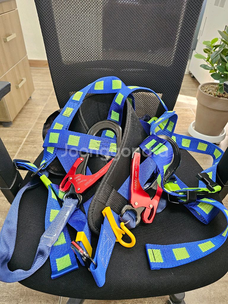 전체식 안전벨트 스왈록 COLOCK WAVE2--1