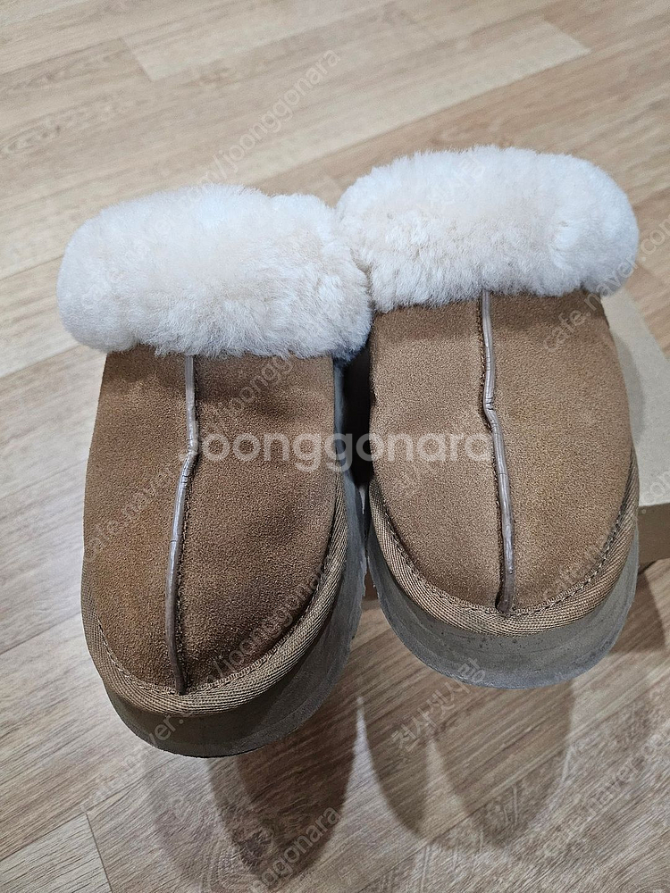 UGG 디스케트 US7--5