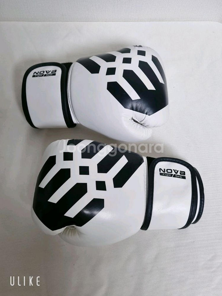 고등 / 성인 백 글러브 (미사용)--0